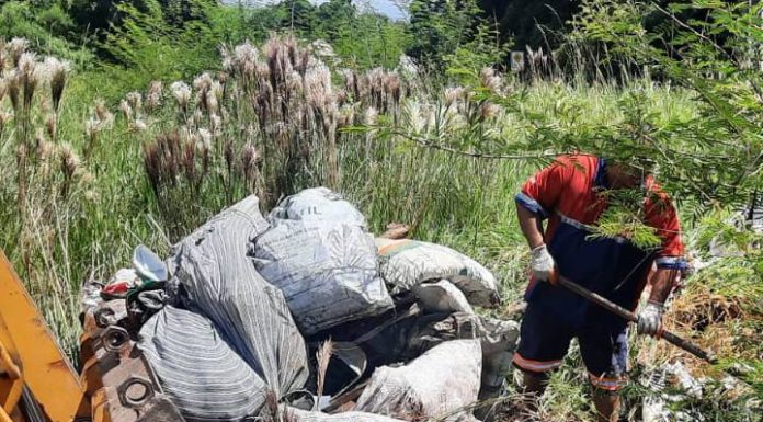 Penha recolhe uma tonelada de lixo no Bairro Nossa Senhora de Fátima
