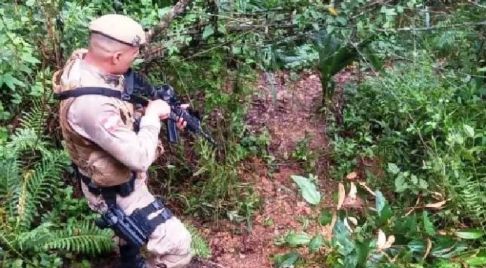 Jovem de 19 anos é encontrado morto em matagal em Itajaí