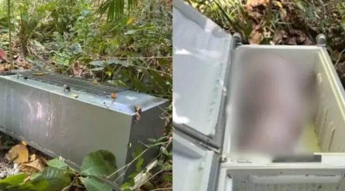 Corpo é encontrado em geladeira por motorista de frete durante mudança