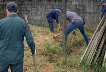 Corpo de mulher morta a marretada é encontrado enterrado nos fundos da casa em Araquari