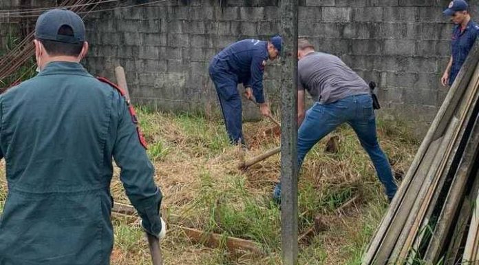 Corpo de mulher morta a marretada é encontrado enterrado nos fundos da casa em Araquari