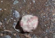 Homem é morto a pedradas e pauladas no Alto Vale do Itajaí