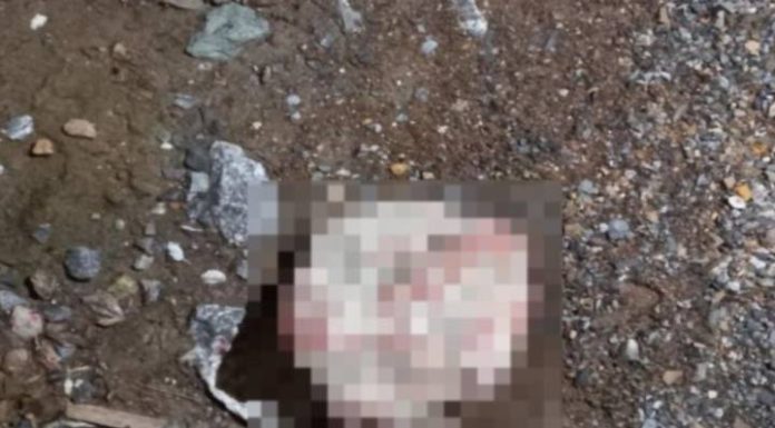 Homem é morto a pedradas e pauladas no Alto Vale do Itajaí