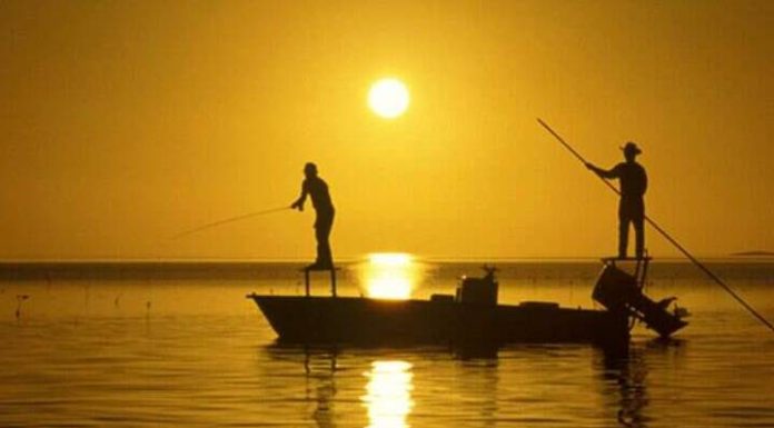 Meio ambiente: sistema de esgoto traz benefícios para a pesca artesanal
