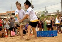 Tartaruga verde é devolvida forte e saudável para as águas da Praia Grande em Penha