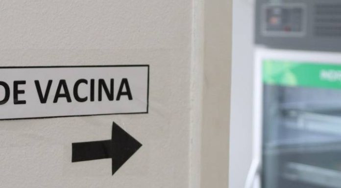 Vacina contra gripe estará disponível para grupos prioritários a partir de segunda-feira (25)