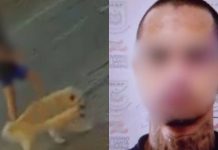 Homem que dopou, estuprou e manteve jovem encarcerada é liberado pela Justiça