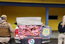 Mais de 290 quilos de maconha são apreendidos em caminhonete em Joinville