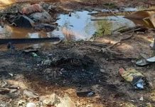 Cadela é queimada viva após ter as patas amarradas