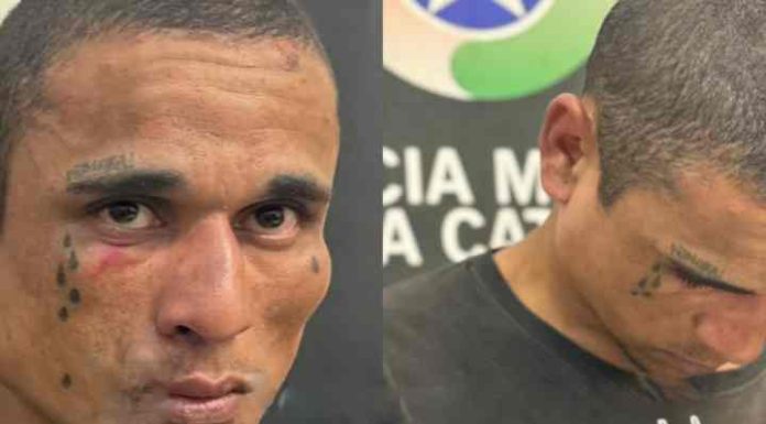 Morador de rua espanca e estupra jovem em Florianópolis
