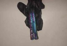 Discussão banal motivou fúria de adolescente que esfaqueou colega com autismo em escola de SC