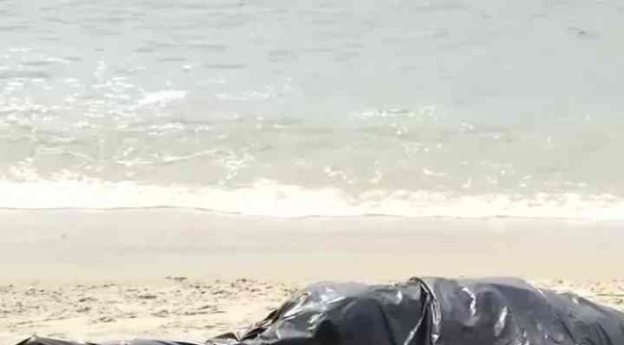 Corpo com marcas de agressão é encontrado na praia de Piçarras