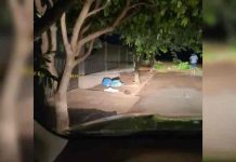Bebê é encontrado morto em saco de lixo revirado por cachorros no PR