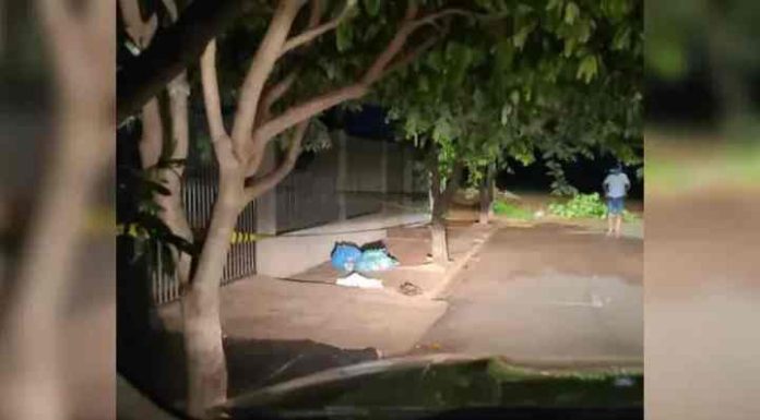 Bebê é encontrado morto em saco de lixo revirado por cachorros no PR