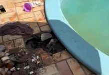 Criança de 2 anos é resgatada após ficar presa no reservatório da piscina