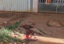 “Limpou a faca e foi embora”, diz dono de bar sobre assassinato