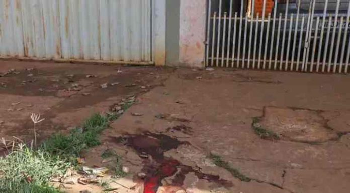 “Limpou a faca e foi embora”, diz dono de bar sobre assassinato