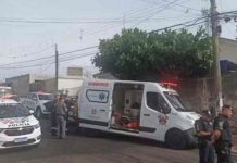 Cão pitbull mata o dono na tarde deste domingo em SP