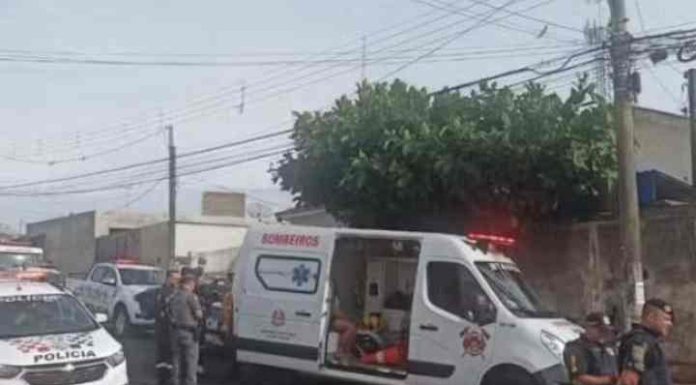 Cão pitbull mata o dono na tarde deste domingo em SP