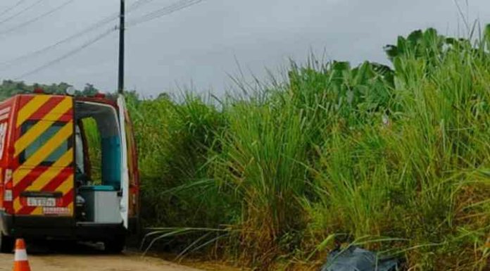 Cadáver com 4 marcas de tiro é largado na beira da estrada em São João do Itaperiú