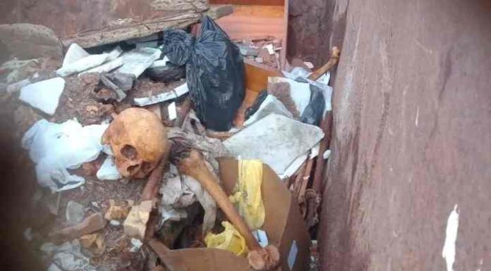 Ossada humana é encontrada em caçamba perto de cemitério