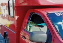 Bombeiros socorrem duas pessoas atacadas por abelhas