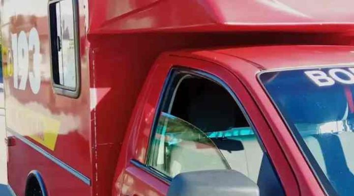 Bombeiros socorrem duas pessoas atacadas por abelhas