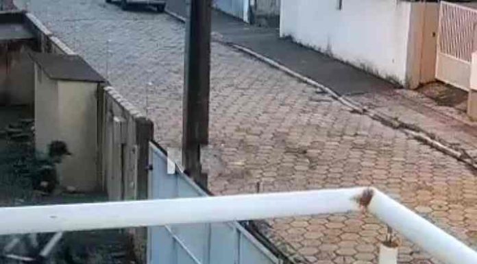 Itajaí estima que 40 moradores de rua cheguem a cidade diariamente