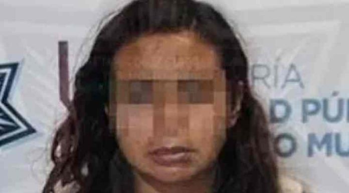 Mulher é presa após usar carne de cachorro como recheio de tacos