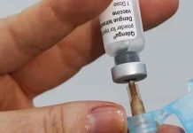 Balneário Piçarras e Penha ficam sem vacina contra a dengue