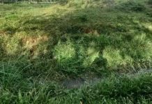 Corpo de desaparecido é encontrado em córrego de Itajai