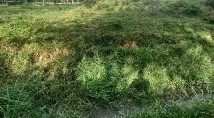 Corpo de desaparecido é encontrado em córrego de Itajai