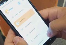 Celesc inicia transição para o novo sistema comercial, o Conecte, nesta terça-feira