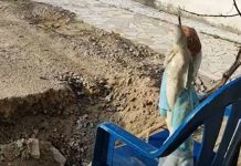 “Anjo” sobre a cadeira chama atenção da prefeitura para buraco no centro de Penha