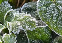 Com geada, SC tem a 1ª temperatura negativa do ano