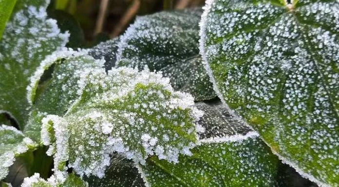 Com geada, SC tem a 1ª temperatura negativa do ano