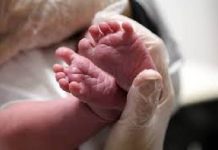 Bebê morre de dengue em Balneário Piçarras