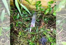 Homem é espancado, morto com tiro na cabeça e largado no mangue em Joinville