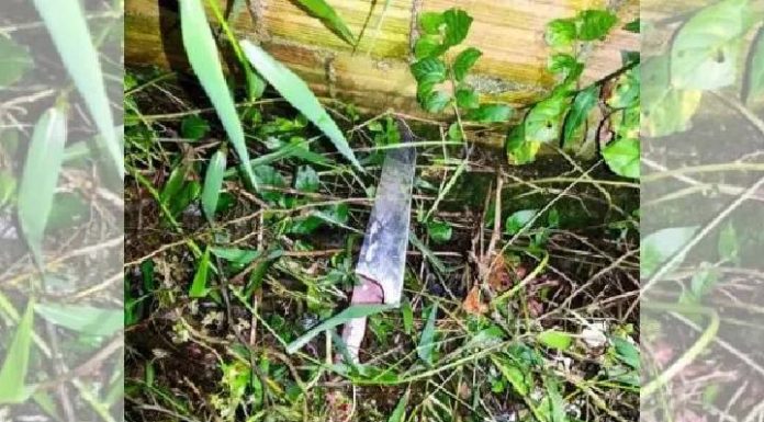 Homem é espancado, morto com tiro na cabeça e largado no mangue em Joinville