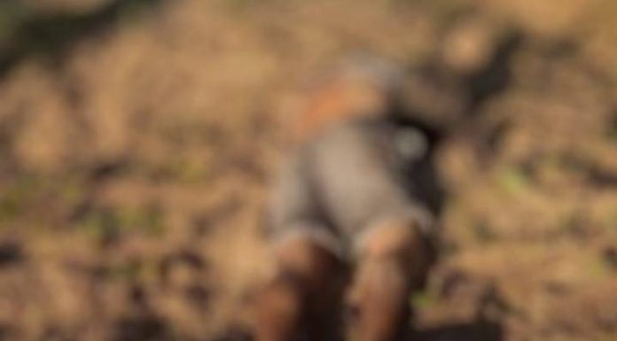 Corpo é achado na praia central de Navegantes nesta segunda-feira