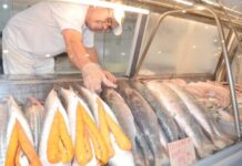 Tainha é comercializada a partir de R$ 13 em Itajaí