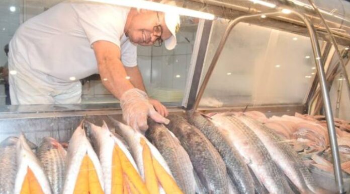 Tainha é comercializada a partir de R$ 13 em Itajaí