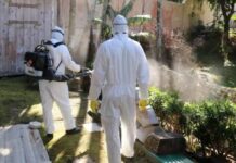 Penha e Piçarras estão entre as 82 cidades que não têm plano de combate à dengue, aponta TCE