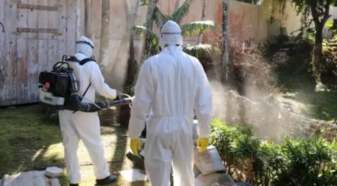 Penha e Piçarras estão entre as 82 cidades que não têm plano de combate à dengue, aponta TCE