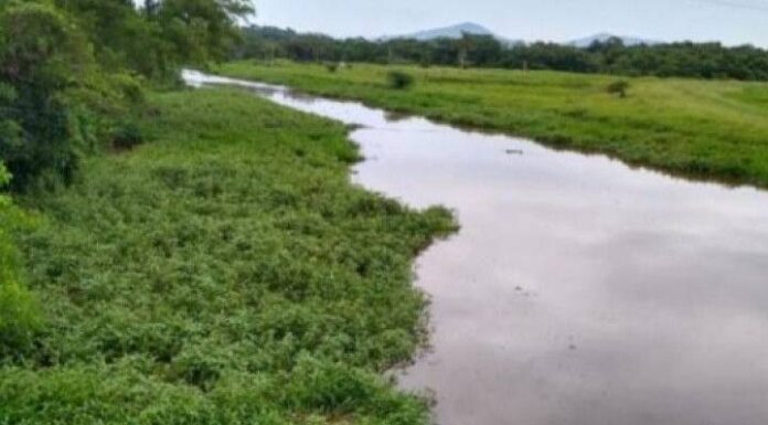 Corpo de homem é encontrado no rio Itajaí-Mirim, em Itajaí