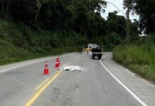 Homem morre atropelado na Rodovia Variante SC-414