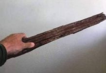 Mulher é estuprada com pedaço de madeira e namorado é preso