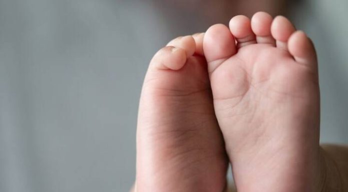 Bebê de 11 meses morre em Creche de Blumenau