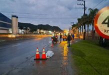 Pedestre morre atropelado por caminhão em Itajaí