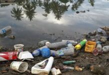 Lixo no esgoto: um problema ambiental e social com soluções simples